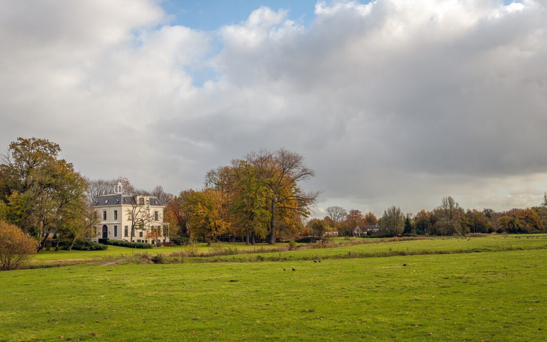Hoe staat het met het vermogen van Nederlandse familiestichtingen?